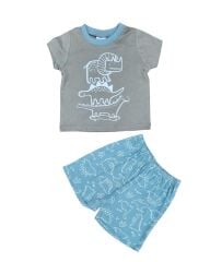 Erkek Bebek Çocuk %100 Pamuklu Şortlu Takım (1-4 Yaş)